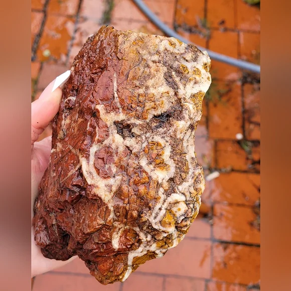 Natural Orange Red Purple Jasper Lapidary Rough Rock